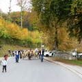 P1250495