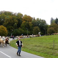 P1250528