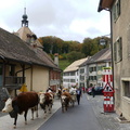 P1250564