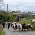 P1250680