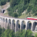 x2403 sur les Hirondelles