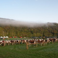 DSCN0559