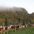 DSCN0562
