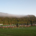 DSCN0564