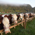 DSCN0565