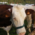 DSCN0566