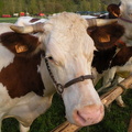 DSCN0567
