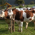 DSCN0572