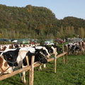 DSCN0576