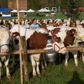 DSCN0580