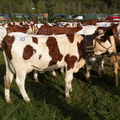 DSCN0582