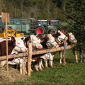 DSCN0584
