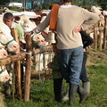 DSCN0587