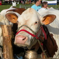 DSCN0594