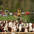 DSCN0597