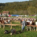 DSCN0598