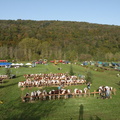 DSCN0602