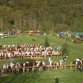 DSCN0603