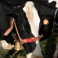 DSCN0618