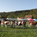 DSCN0632