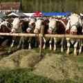 DSCN0646