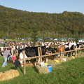 DSCN0650