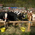 DSCN0654