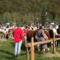 DSCN0662