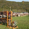 DSCN0671