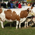 DSCN0679