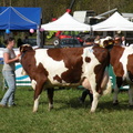 DSCN0685