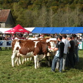 DSCN0696