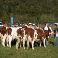DSCN0698