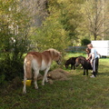 DSCN0711