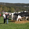 DSCN0717