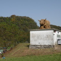 DSCN0724