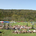 DSCN0728