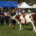 DSCN0745