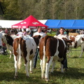 DSCN0750