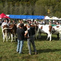 DSCN0763