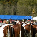DSCN0765