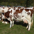 DSCN0789
