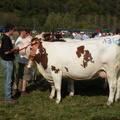 DSCN0810
