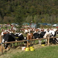 DSCN0820