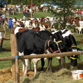 DSCN0821