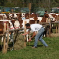 DSCN0834