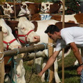 DSCN0836
