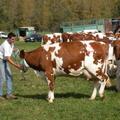 DSCN0839