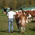 DSCN0842