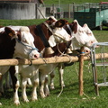 DSCN0874